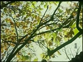 電影《紅塵》的劇情簡介 圖1