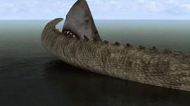巨鲨大战食人鳄 图2