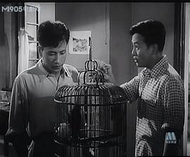 幸福 圖8