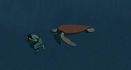 宫崎骏红海龟什么意思 图1