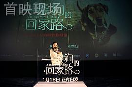 一条狗的回家路配音演员 图8