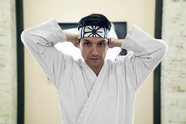 眼鏡蛇 第一季 圖3