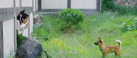 春來枕星河 圖1