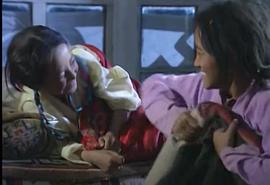 拉薩往事 圖6