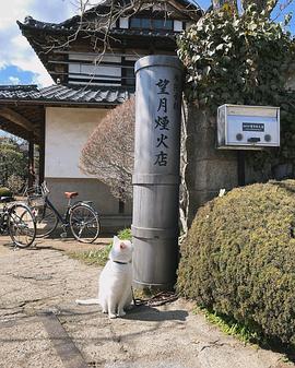 6秒鐘的軌跡～煙花師望月星太郎的第二個憂郁 圖5