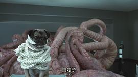 黑衣人2 圖7