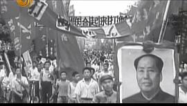 1973：中国往事 图8