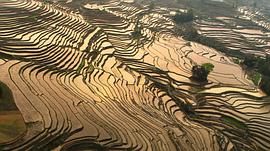 大衛(wèi)·愛登堡：地球上的一段生命旅程 圖4