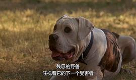 看狗在说话 电影中文配音 图9