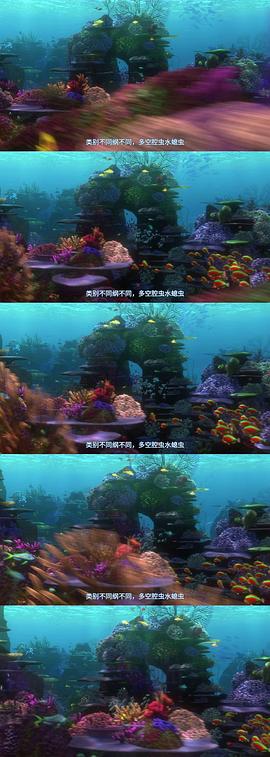 海底总动员国语版高清免费中文版 图4