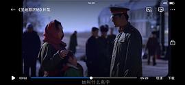 圣地額濟納 圖5