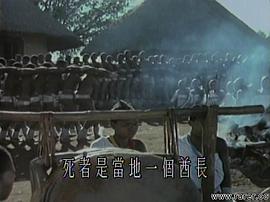 世界殘酷寫真 圖6