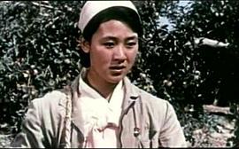 朝鲜电影摘苹果的时候演员表 图2