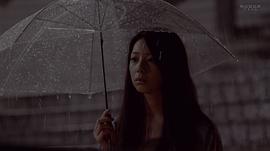 銀線草 圖7