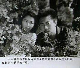湖心岛之谜 图5