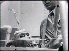 灵长类 图1