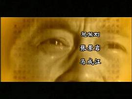 湘江剿匪記下集免費觀看 圖5