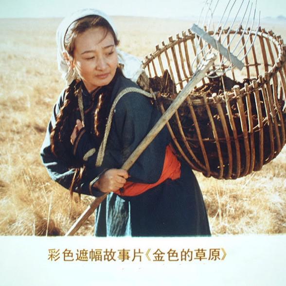 金色的草原