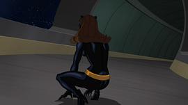 蝙蝠侠动画 图10