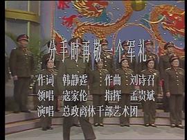 1990春节联欢晚会直播 图8