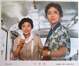 小字輩 圖9