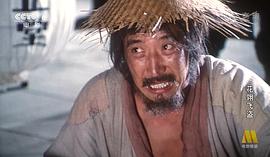花翎飛盜 圖7
