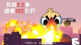 摩登大自然 圖3