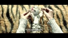 張雪峰電影名字 圖9