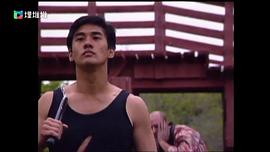 李小龍傳 圖1