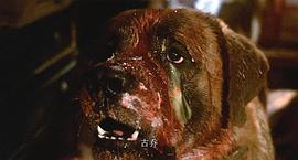 狂犬驚魂 圖8