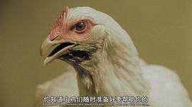 禁區(qū) 圖3
