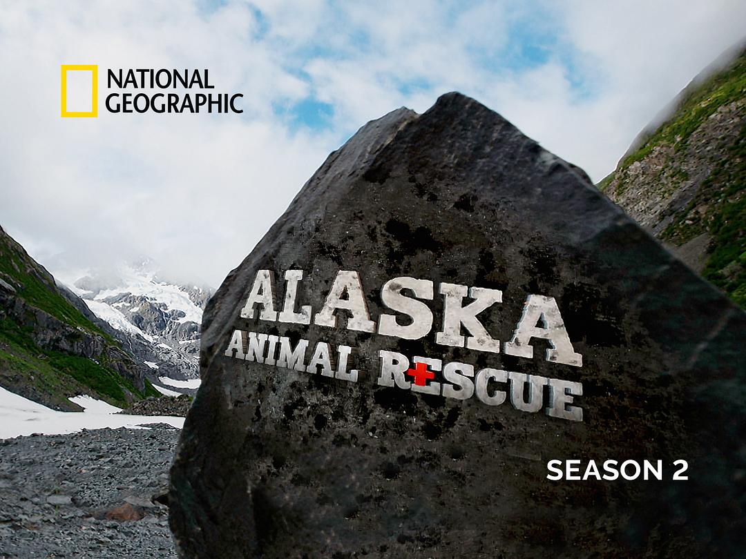 阿拉斯加野生动物救援 第二季