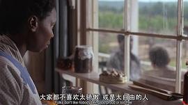 紫色 圖1