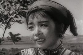 蘆笙戀歌 圖9