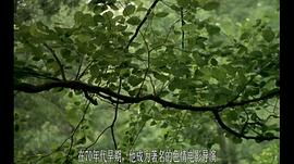 春宮電影人 圖4