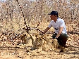 人類-動物 圖10