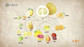 水果记 图8