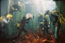水下世界电影 图2