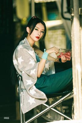 飛豬奇妙之旅 圖2
