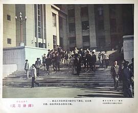见习律师 电影 图4