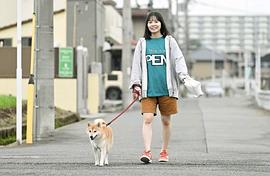 今日份的散步 圖7