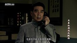 五星红旗第1集在线观看 图10