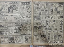 花花草草 圖2