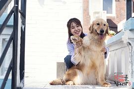 一起用餐吧3 圖1