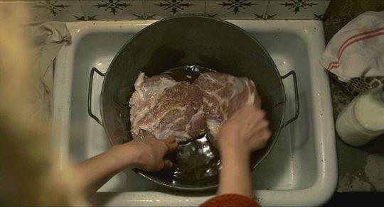 維奧萊特與多弗朗明哥