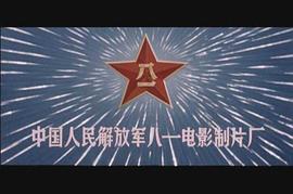 自衛(wèi)越戰(zhàn)電影黑豹突擊隊(duì) 圖10