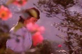 赤橙黃綠青藍紫 圖8