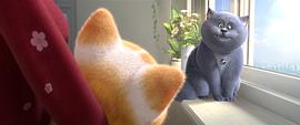 猫的花园动画片 图3