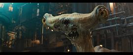 動物世界 圖9
