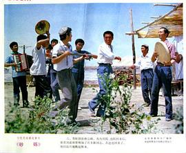 什么叫砂礫 圖1